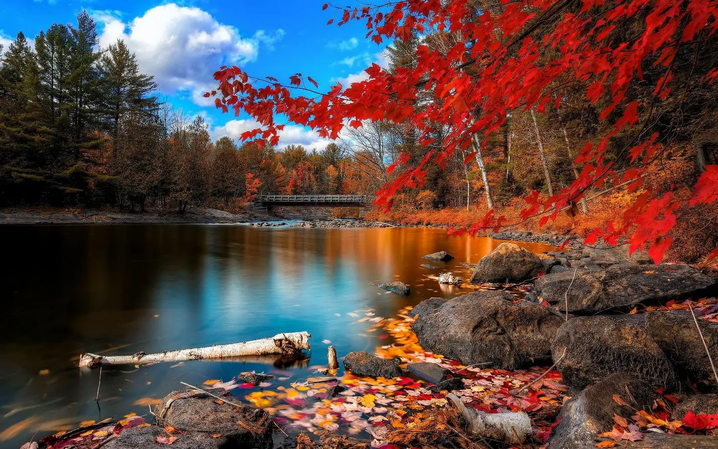 Vibrant autumn leaves frame a tranquil lake under a bright blue sky.